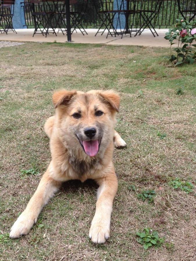 Diem Dung Chan Can Ty Ha Giang Exterior foto