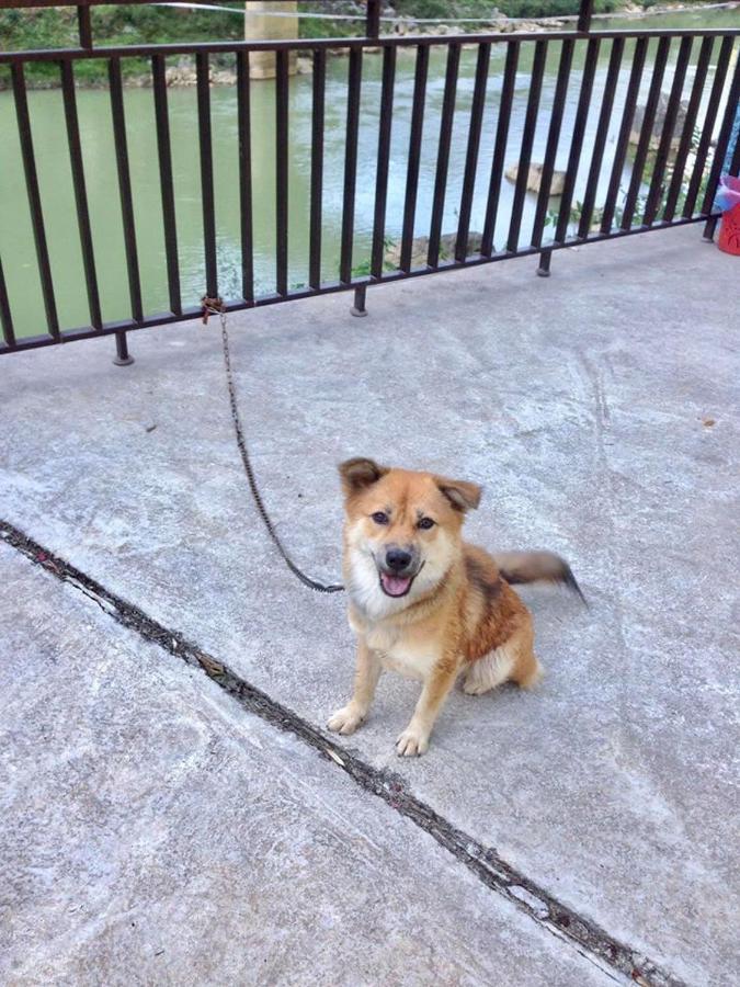 Diem Dung Chan Can Ty Ha Giang Exterior foto