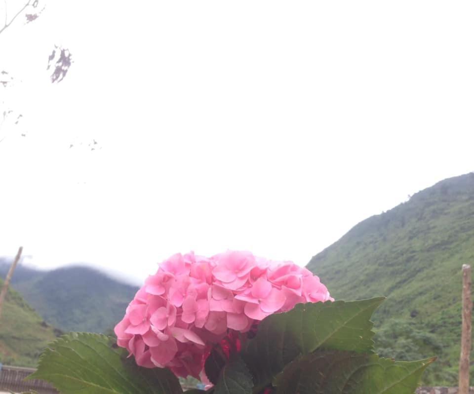 Diem Dung Chan Can Ty Ha Giang Exterior foto
